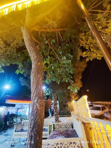 عکس کافه رویا