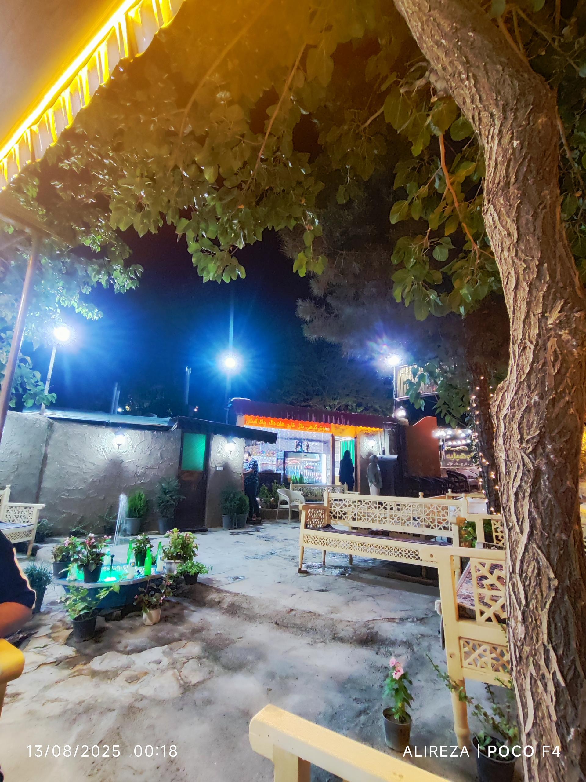 عکس کافه رویا