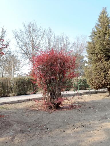 عکس زمین بازی