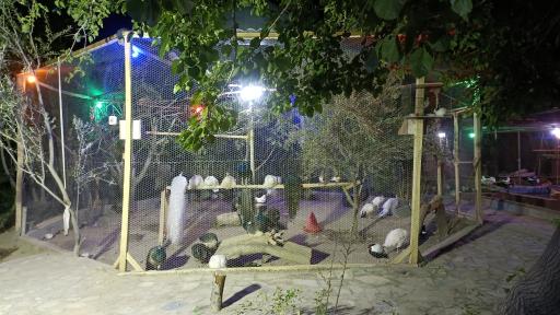 عکس مجموعه ماکیان زیبای رهنان 