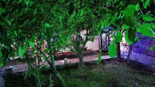 عکس مجموعه ماکیان زیبای رهنان 