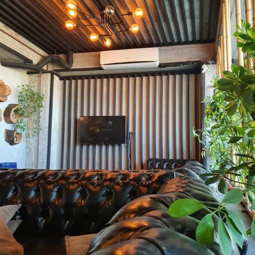 عکس کافی شاپ بهار