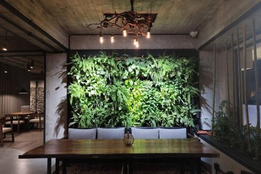 عکس کافی شاپ بهار