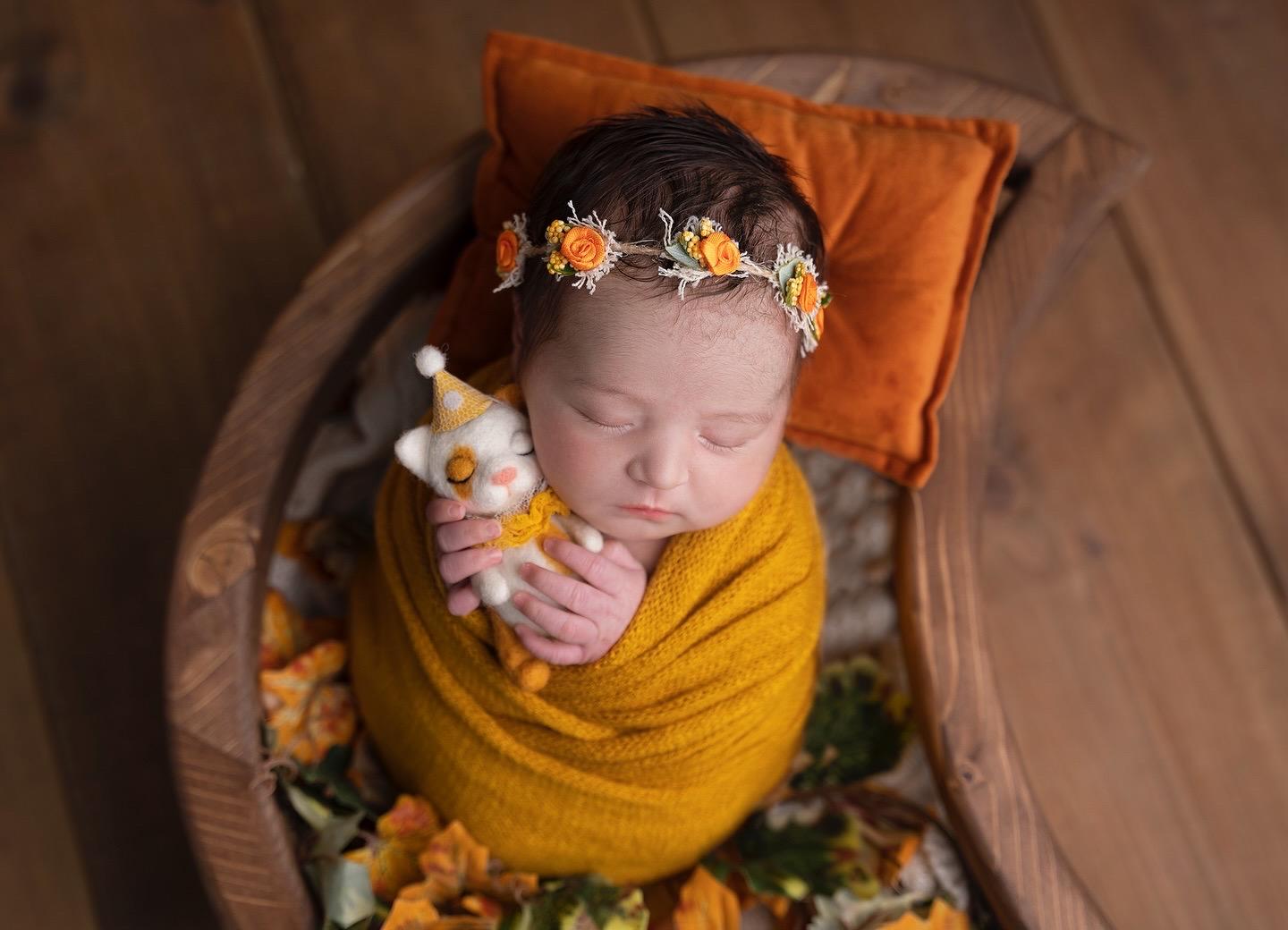 عکس آتلیه تیک شات