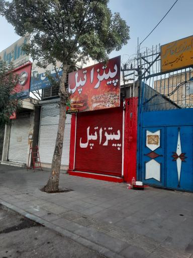 عکس پیتزا تپل(شهرام جلیلیان)