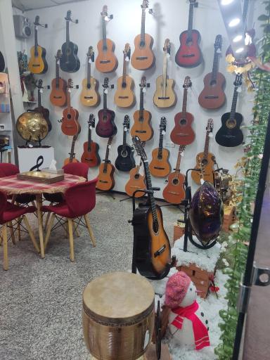 عکس گالری موسیقی دل آوا 