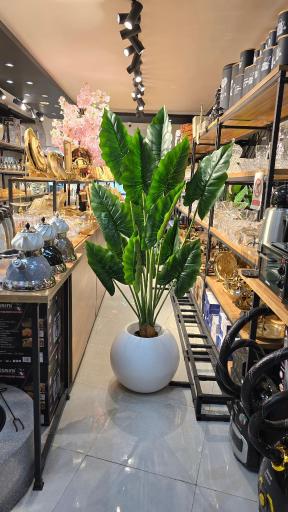 فروشگاه لوازم خانگی لایک‌هوم 