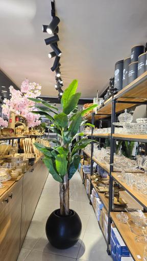 عکس فروشگاه لوازم خانگی لایک‌هوم 