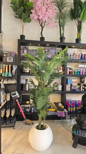 عکس فروشگاه لوازم خانگی لایک‌هوم 