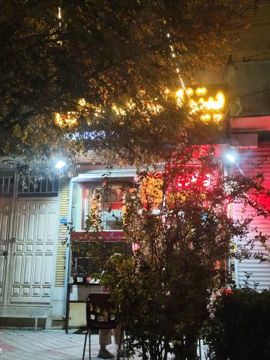 عکس کباب ترکی