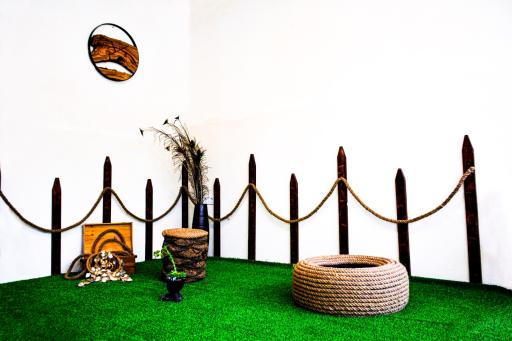 عکس عکاسی