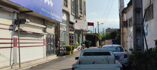 عکس غذای خونگی ترخون