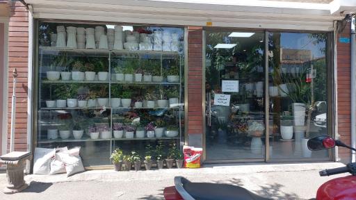 عکس گلفروشی امام رضا 