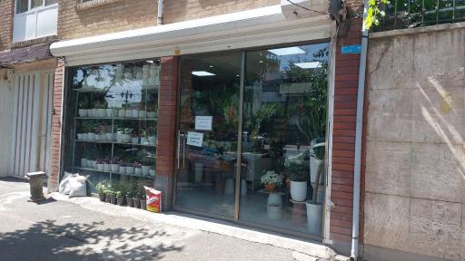 عکس گلفروشی امام رضا 