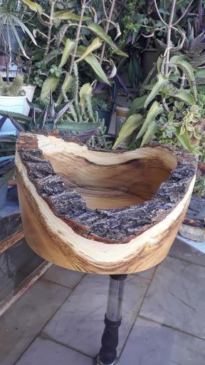 عکس خراطی چوب سیدی