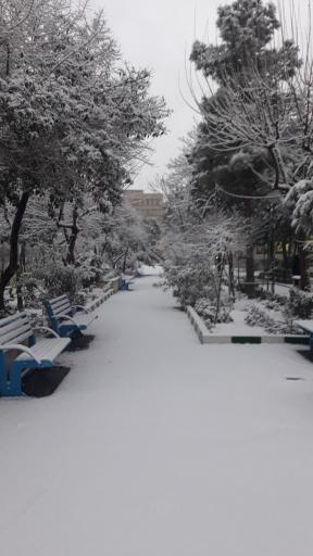 عکس مجتمع نابینایان شهید اسمائیل محبی