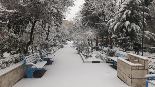 عکس مجتمع نابینایان شهید اسمائیل محبی