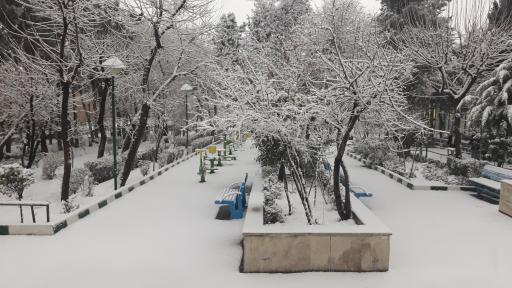 عکس مجتمع نابینایان شهید اسمائیل محبی