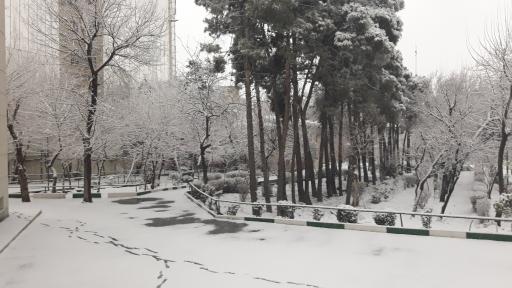 عکس مجتمع نابینایان شهید اسمائیل محبی