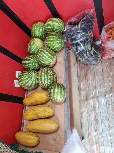 میوه سرای چهار فصل