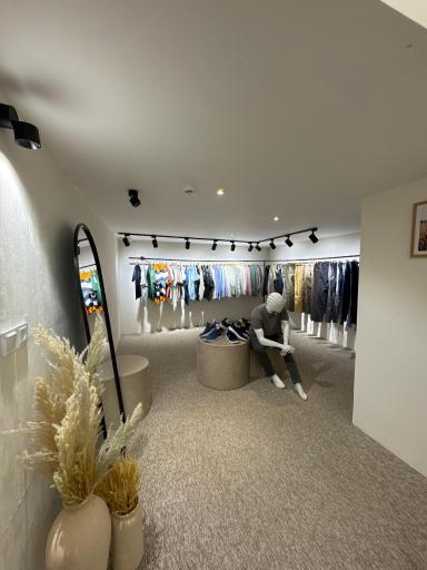 عکس مزون گندم