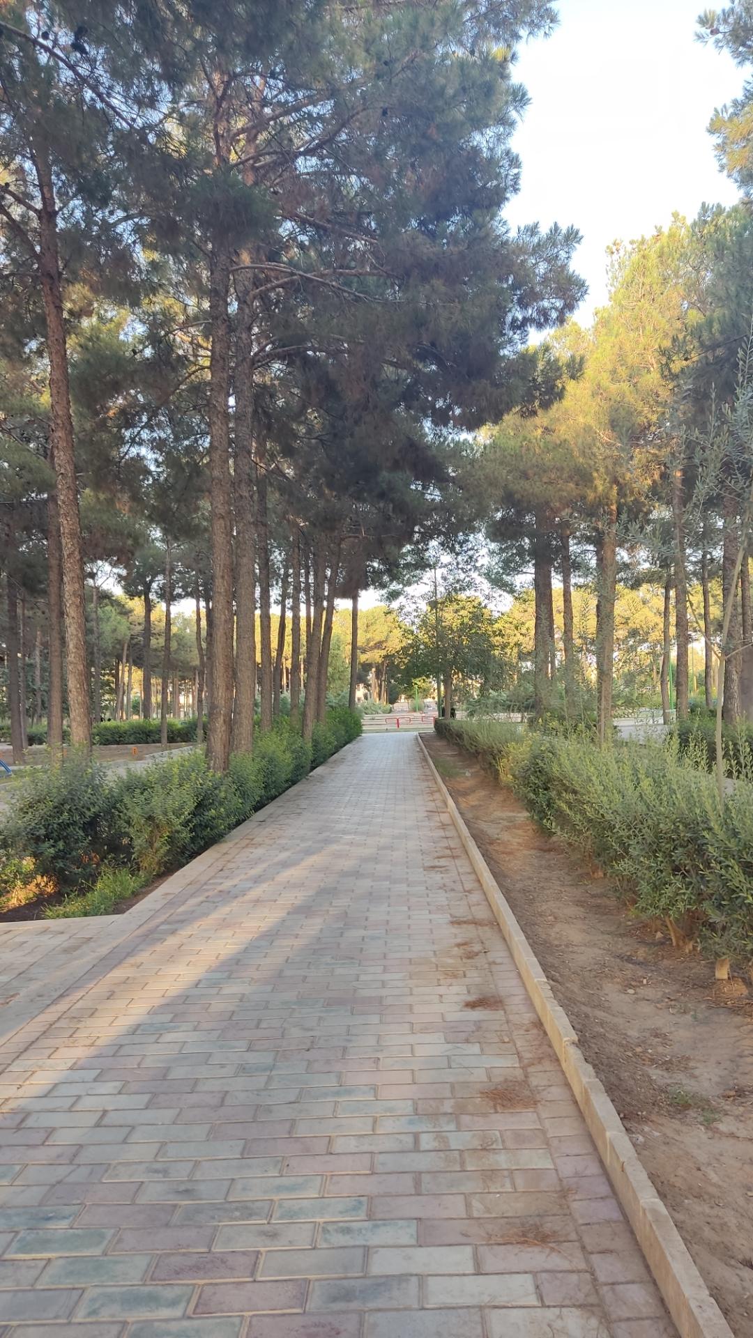 عکس بوستان لاله