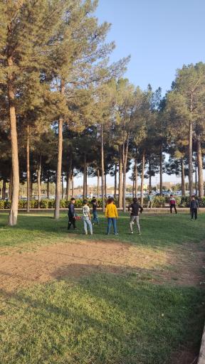 عکس بوستان لاله