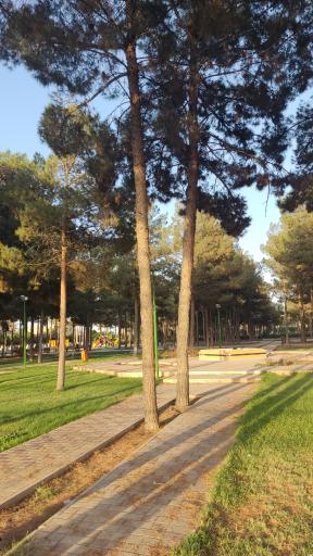 عکس بوستان لاله