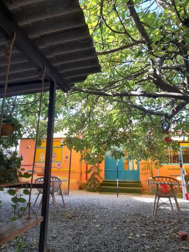 عکس کافه حیات