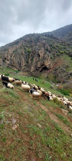 عکس خان دره سی (دره شهدا)