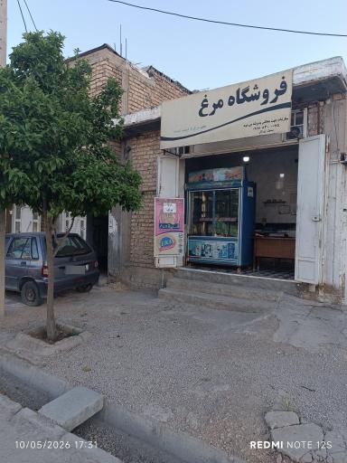 عکس فروشگاه مرغ سفیر