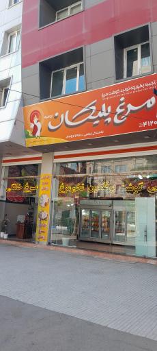 نمایندگی مرغ خانگی فرخ عباسی