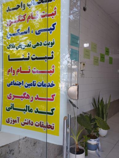 عکس کافی نت سبز