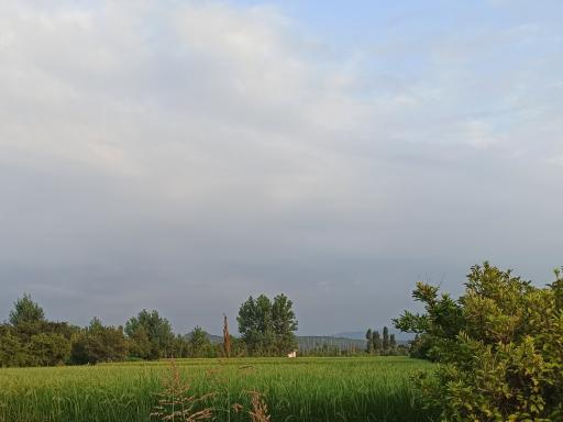 عکس ولوکلا