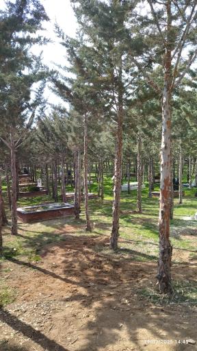 عکس قبرستان بقیع لواسان