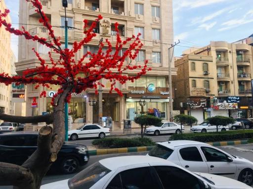 عکس فروشگاه اسنوا 