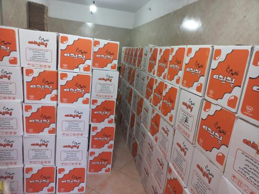 عکس پخش مرکزی تخم مرغ