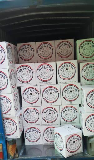 عکس پخش مرکزی تخم مرغ