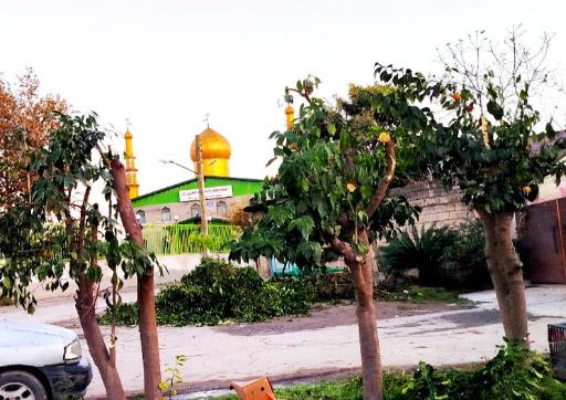عکس رشکلا