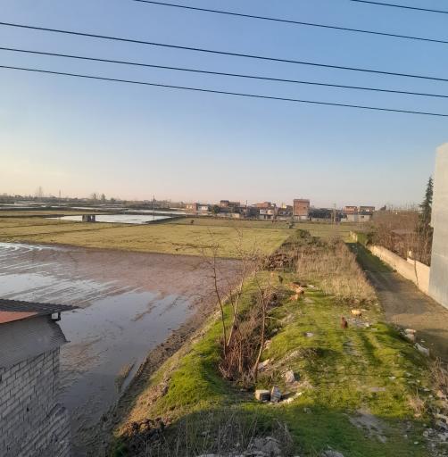 عکس رشکلا