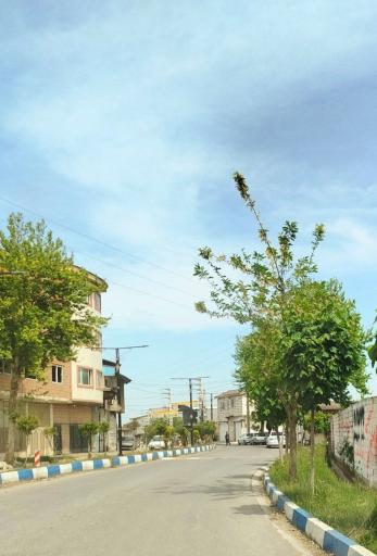 عکس رشکلا
