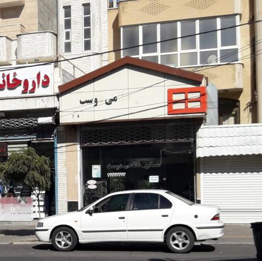 عکس مسکن نظامی دوست