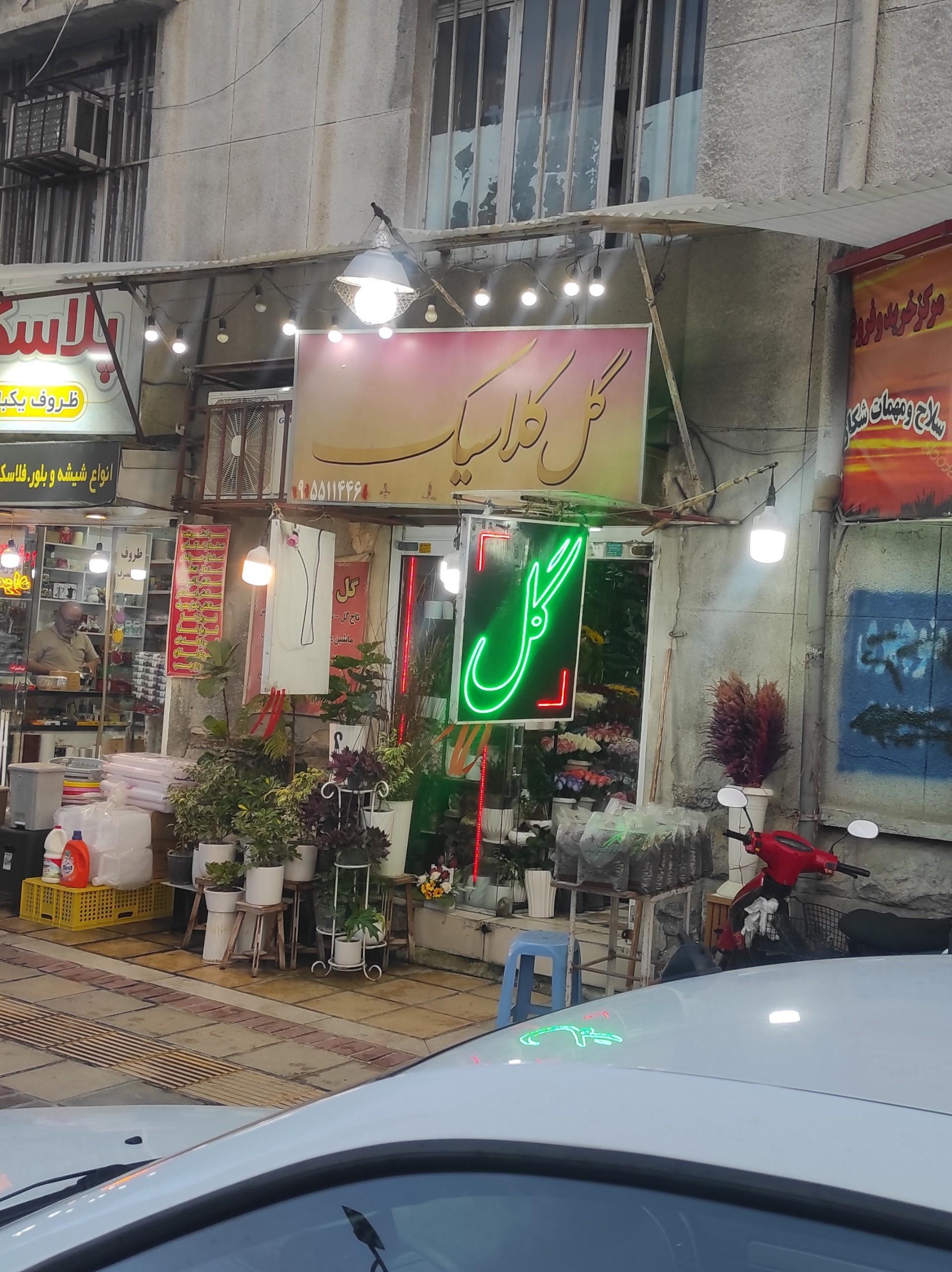 عکس گل کلاسیک
