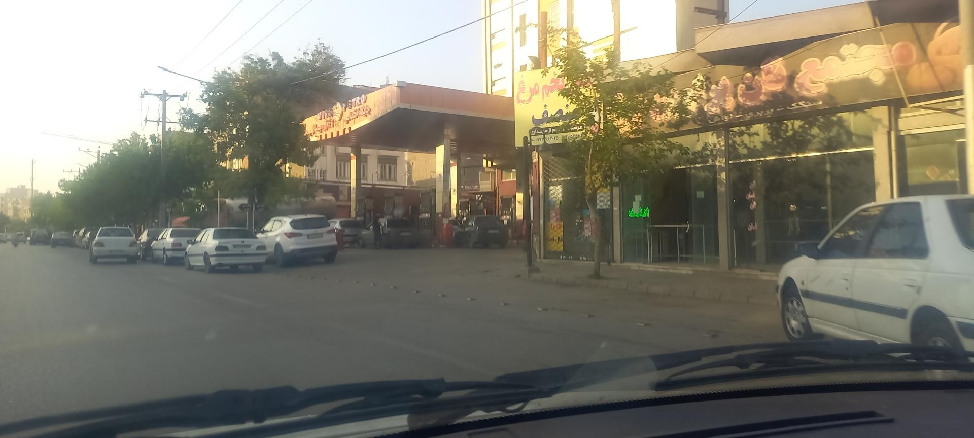 عکس پخش تخم مرغ منصف