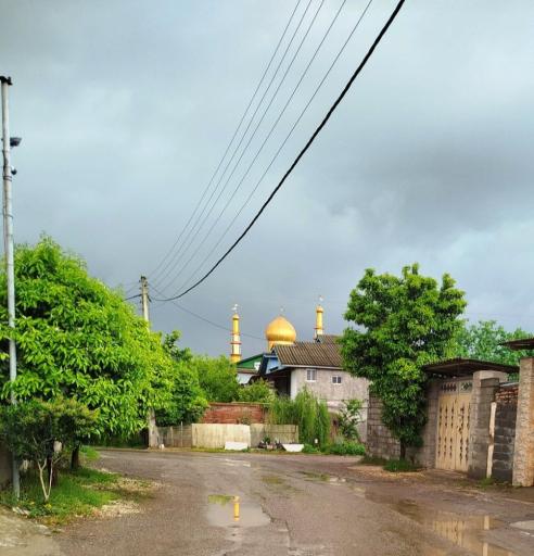 عکس رشکلا