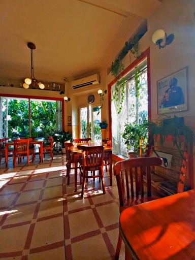 عکس کافه امجدیه