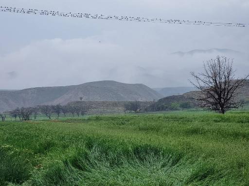 عکس اردکول