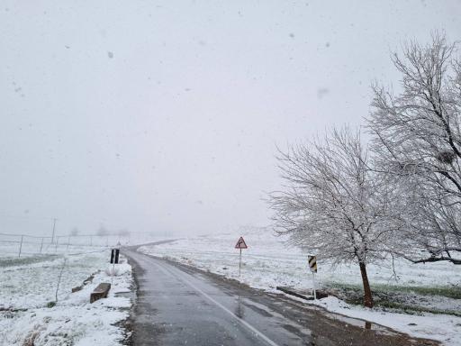 عکس اردکول