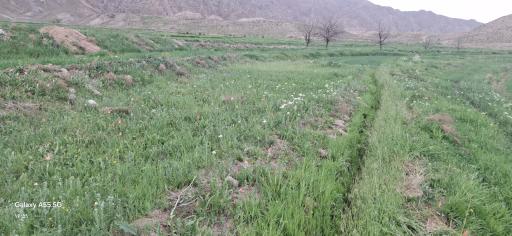 عکس اردکول