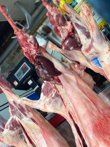 عکس قصابی شهر گوشت